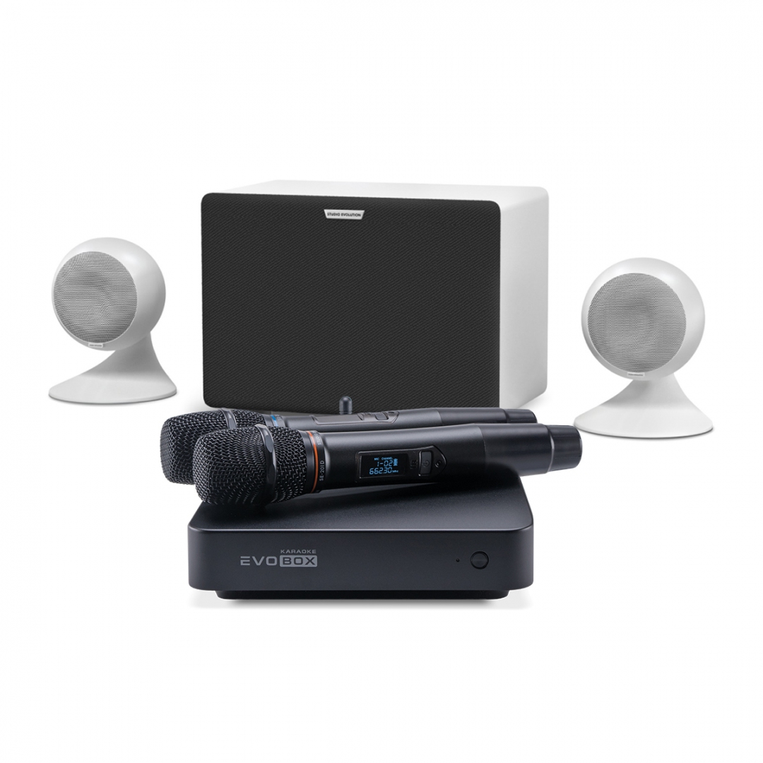 караоке-комплект EVOBOX Classic + EvoSound Sphere 2.1 в Ульяновской области