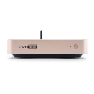 EVOBOX Classic караоке-система для дома в Ульяновской области