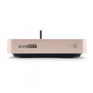 EVOBOX Plus караоке-система для дома в Ульяновской области